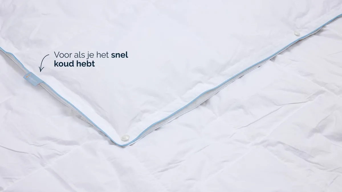 Best B Bright 4 seizoenen dekbed 60% dons